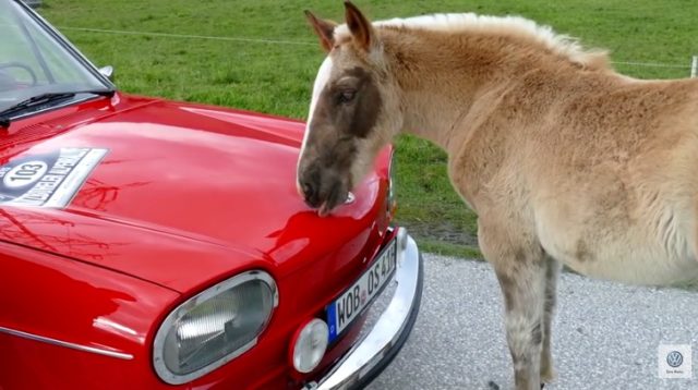 Volkswagen Tipo 4. Leccata da un cavallo in Austria.