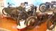 museo-motociclo-rimini-04